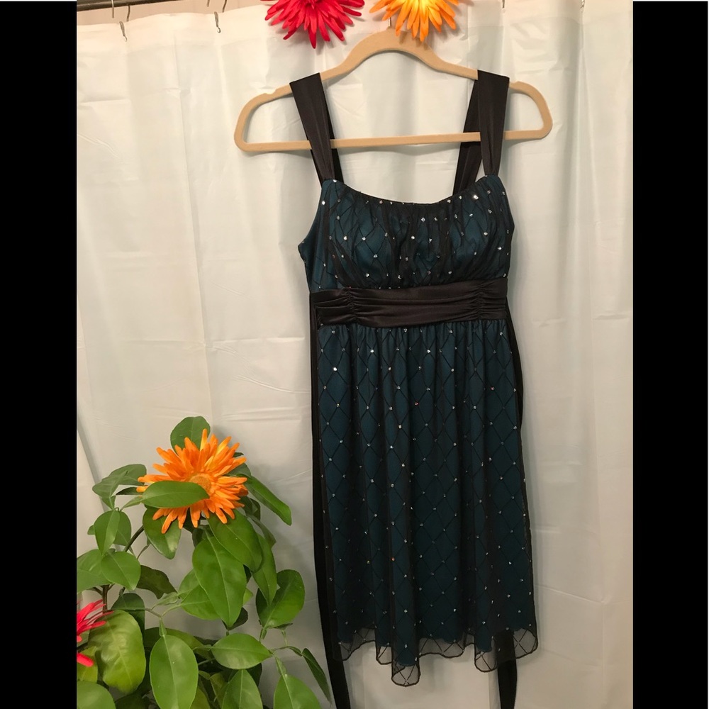 Beautiful IZ dress
